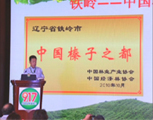 铁岭榛子--中国坚果食品行业具有健康价值及创新产品